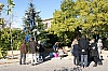 deco_sapin_2011-16.JPG