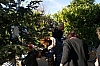 deco_sapin_2011-28.JPG