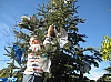 deco_sapin_2011-32.jpg
