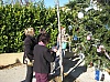 deco_sapin_2011-38.jpg