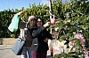 deco_sapin_2011-41.JPG