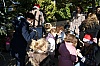 deco_sapin_2011-47.JPG