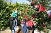 deco_sapin-12.12.15-0011.jpg