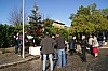 deco_sapin-12.12.15-0012.jpg
