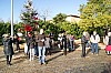 deco_sapin-12.12.15-0014.jpg