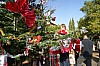 deco_sapin-12.12.15-0016.jpg