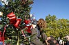 deco_sapin-12.12.15-0026.jpg