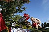 deco_sapin-12.12.15-0027.jpg