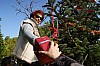deco_sapin-12.12.15-0029.jpg