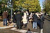 deco_sapin-12.12.15-0038.jpg