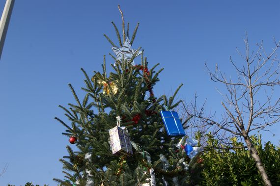 deco_sapin-12.12.21-31.jpg