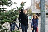 deco_sapin-12.12.21-02.jpg