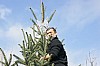 deco_sapin-12.12.21-14.jpg