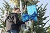 deco_sapin-12.12.21-20.jpg