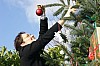 deco_sapin-12.12.21-22.jpg