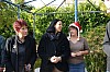deco_sapin-12.12.21-58.jpg