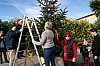 décoSapin2014-01.jpg