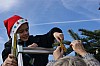 décoSapin2014-03.jpg