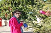 DecoSapin2016-07.JPG