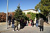 decoSapin2017-07.JPG