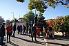 decoSapin2017-31.JPG
