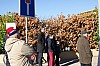 decoSapin2017-49.JPG