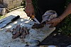 mechoui.21.09.13-73.jpg