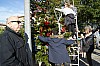 CIL_décoSapin-22.12.18-021.JPG