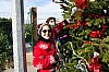 CIL_décoSapin-22.12.18-026.JPG