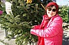 décoSapin-14.12.19-002.JPG