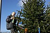 décoSapin-14.12.19-004.JPG