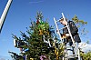 décoSapin-14.12.19-013.JPG