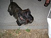 FeteVoisins-2009_089.jpg